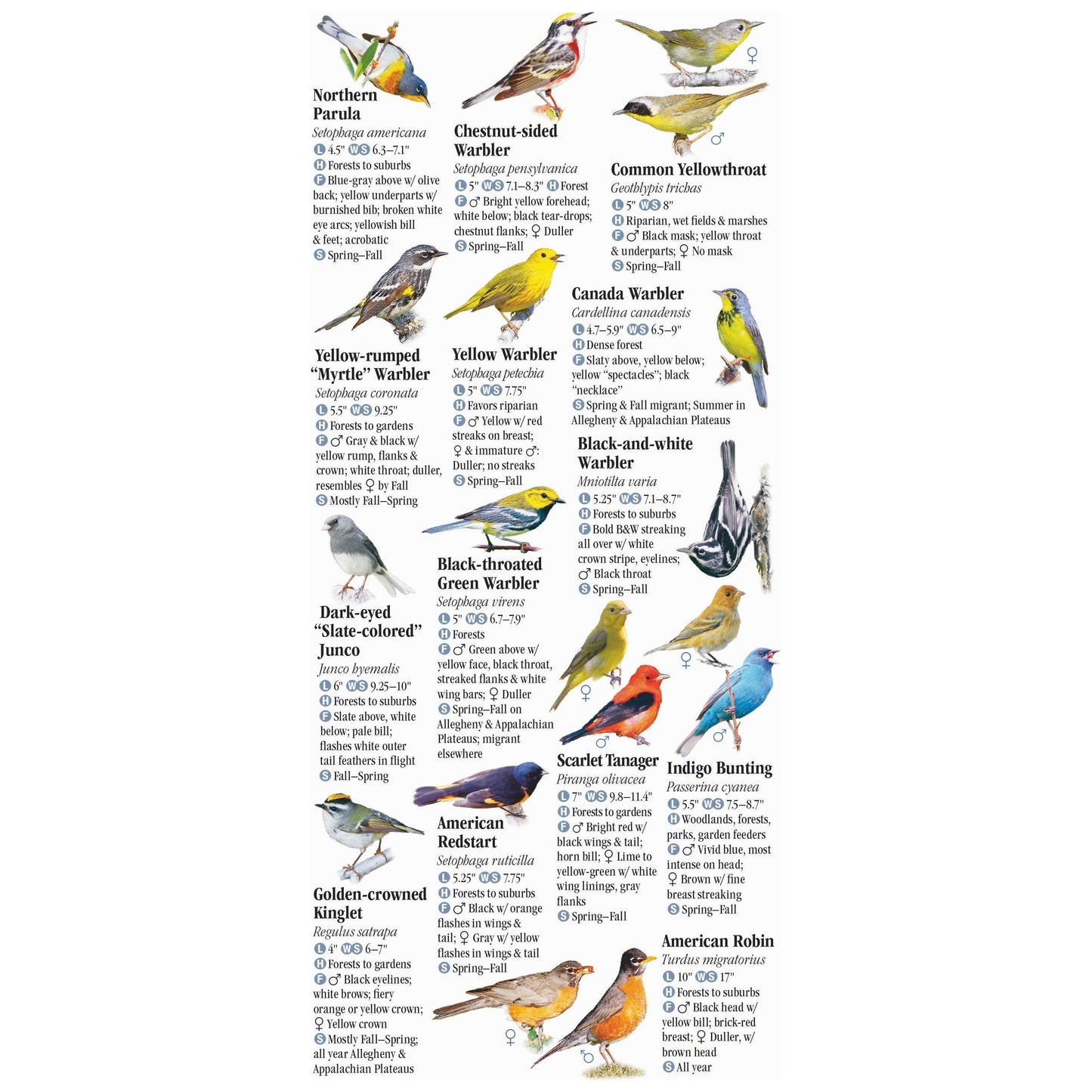 Birds of Ohio Guide