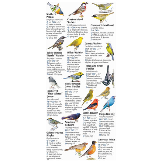 Birds of Ohio Guide