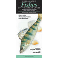 Freshwater Fishes of Ohio Field Guide