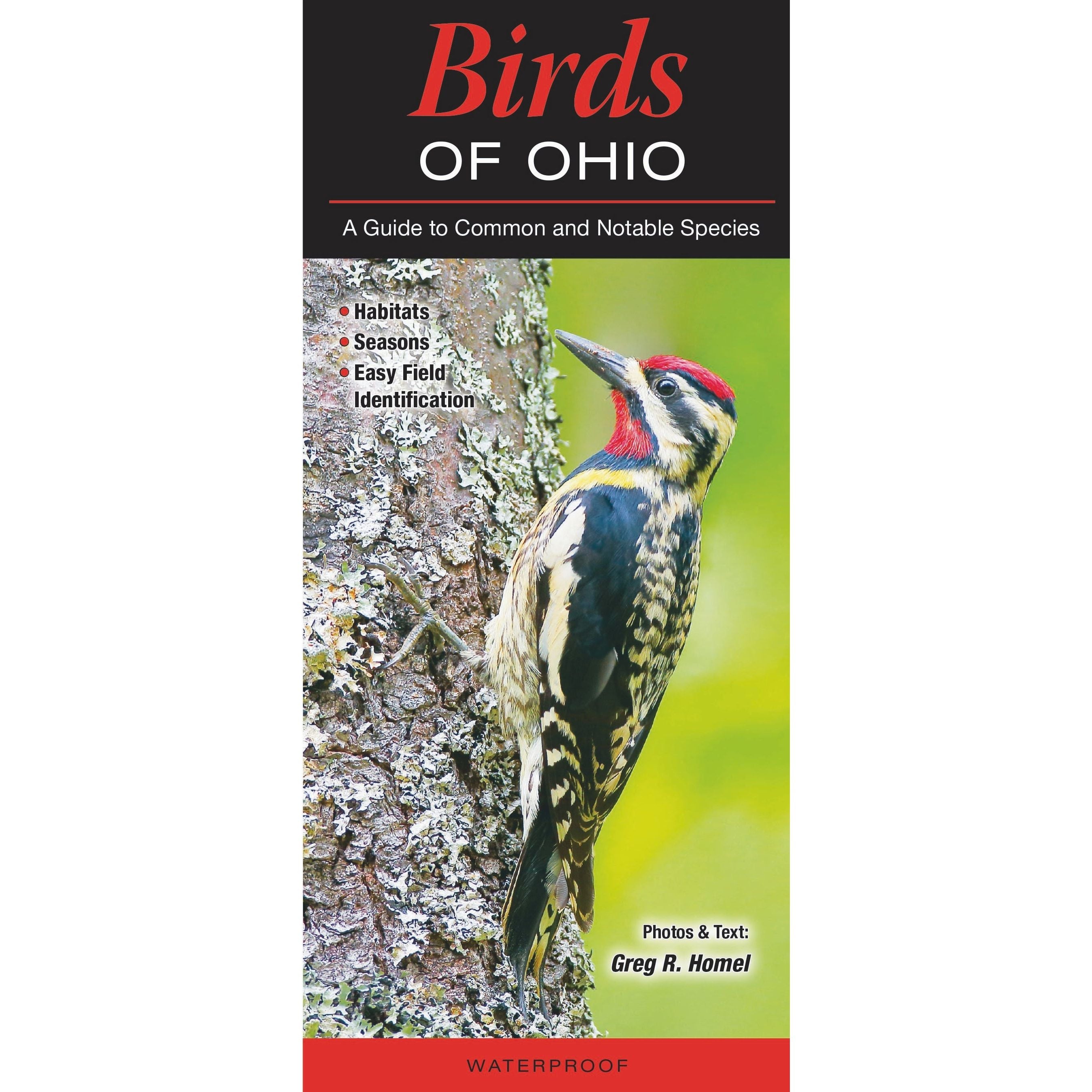 Birds of Ohio Guide