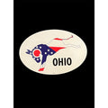 Political Oval Car Magnet Democrat Republican