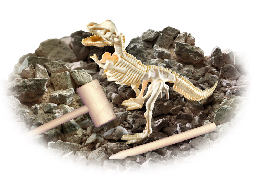 Diggin' Up Dinosaurs T-Rex Smithsonian STEM Kit