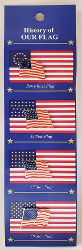 US Flag Lapel Pin Set