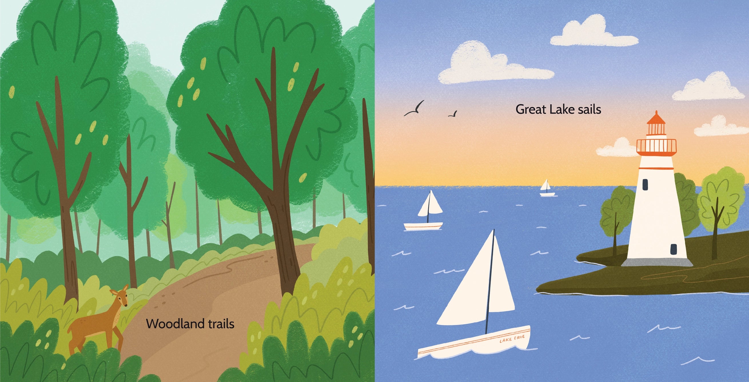 Here in Ohio Board Book