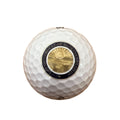 Set of 3 Senate or House of Representatives Golf Balls