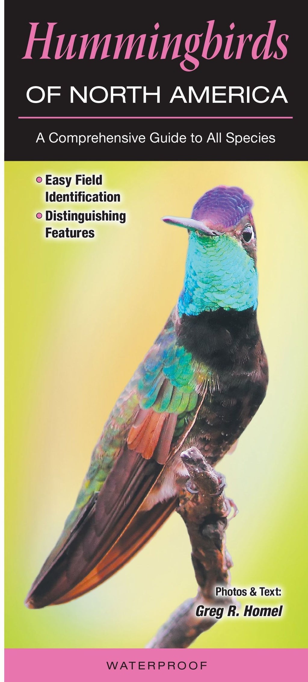 Hummingbirds of North America Reference Guide