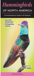 Hummingbirds of North America Reference Guide