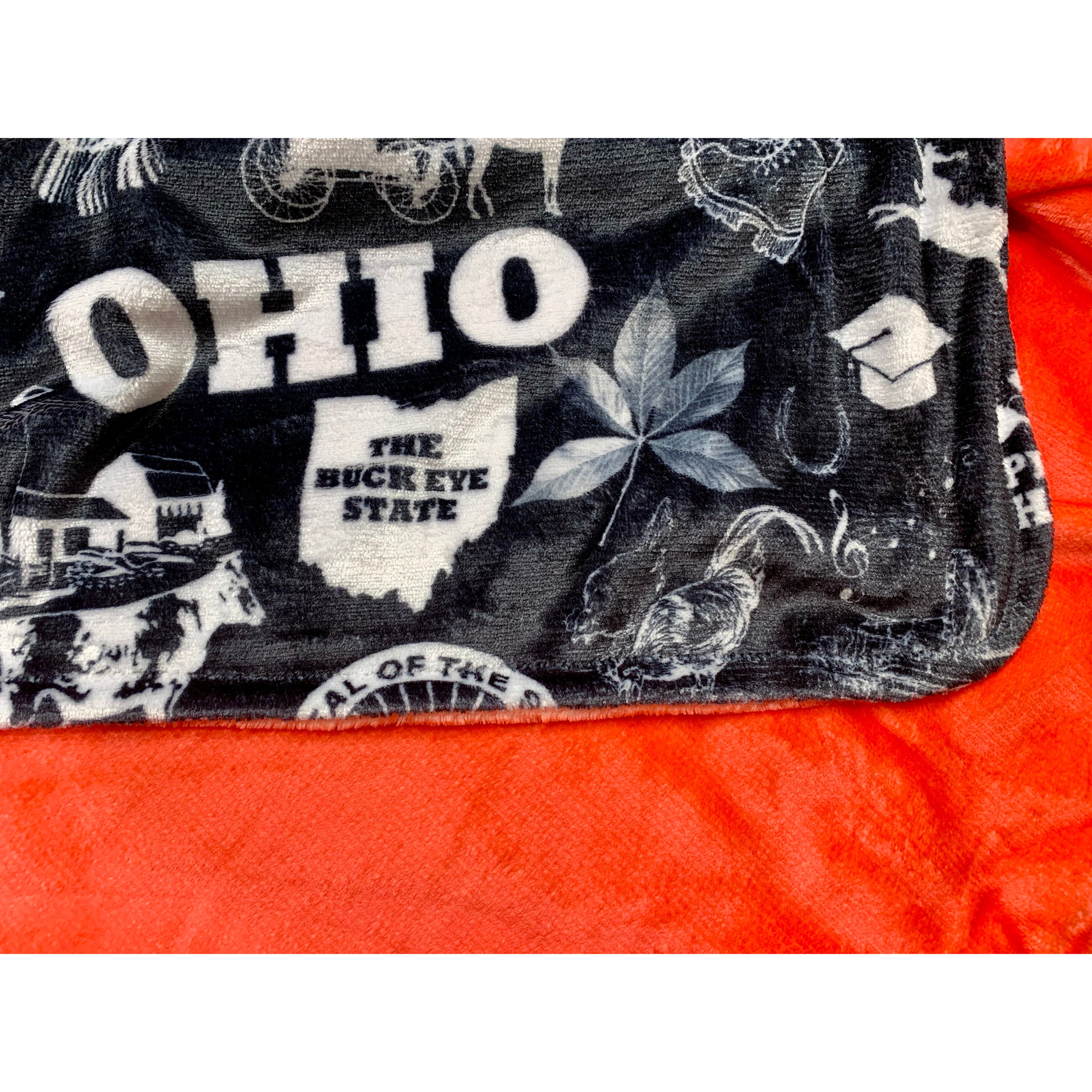 Ohio Chalk Plush Blanket