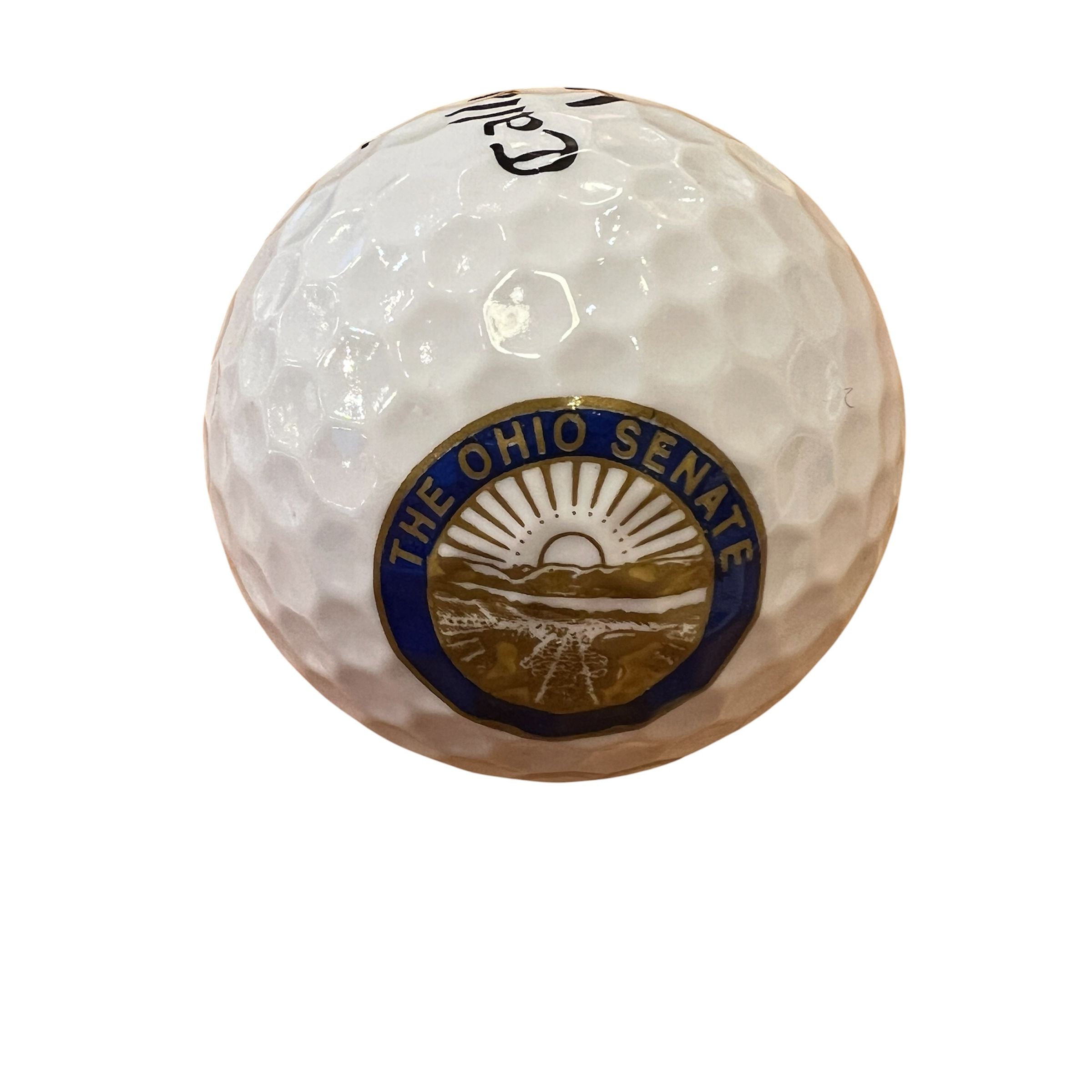 Set of 3 Senate or House of Representatives Golf Balls
