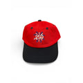 Girls and Boys Embroidered America 250 Cotton Twill Ball Cap